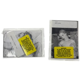 Vintage Erotic Nude Deja Bleu an Cassie & Tangerine late 80s early 90 Bondage 4x5 Photograph