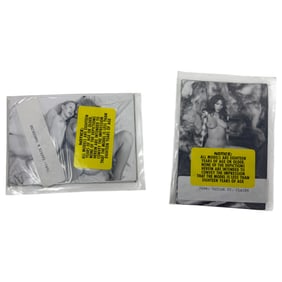 Vintage Erotic Nude Cassie & Tangerine and Taylor St Claire late 80s early 90 Bondage 4x5 Photograph