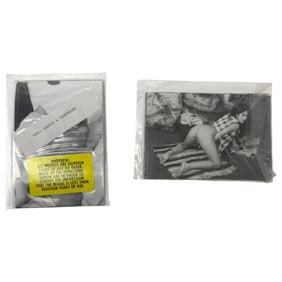Vintage Erotic Nude Cassie & Tangerine and Taylor St Claire late 80s early 90 Bondage 4x5 Photograph