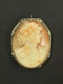 Antique Victorian 14k White Gold Carved Cameo Brooch Pendant