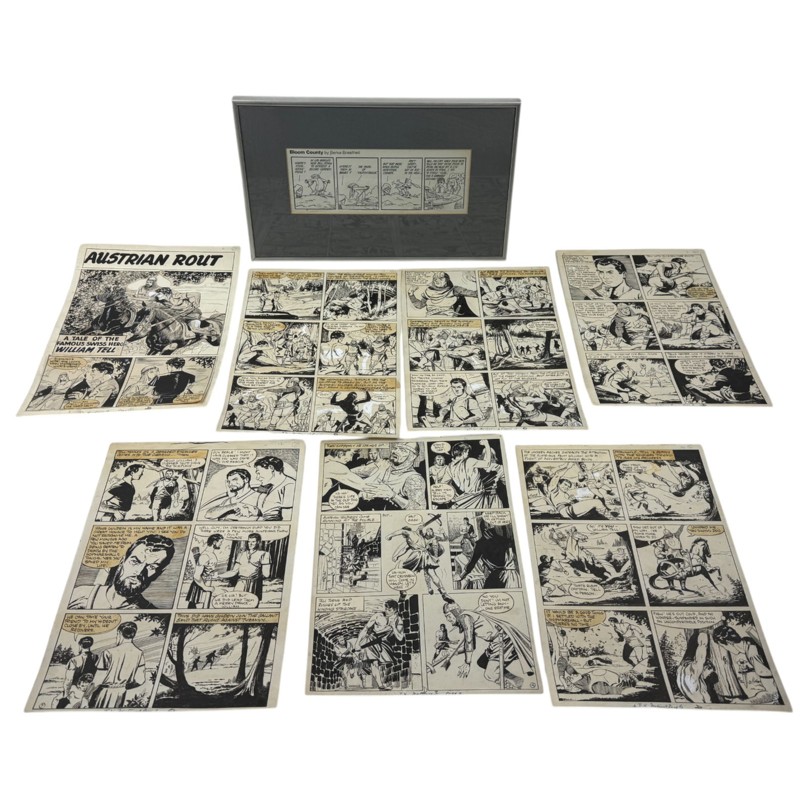 Framed Bloom County Comic Strip by Berke Breathed, and Comic Story Board for The Austrian Rout (1 of 10)
