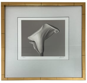 Vintage Calla Lilly Signed Limited Edition 115/250 silver gelatine photograph