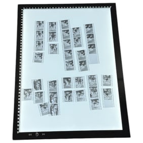 Adult Film Co-ed Colored and Black n White Negatives Photos