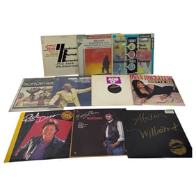 Vintage Vinyl Record Lot