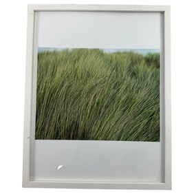 Vintage Alexandra Hedison Untitled-2005, 7.5x 10 inch Kodak Endura Print Artist Proof