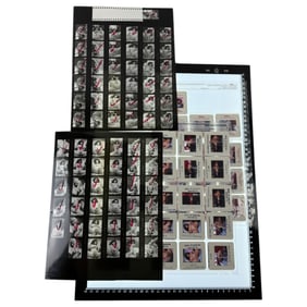 Vintage Black and White Photos Nudes with Negatives Contact Sheet lot