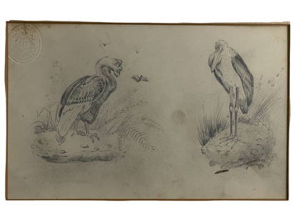 John James Audubon - Original Pencil Drawing with Turnbulls London Board Stamp: John James Audubon - Original Pencil Drawing with Turnbulls London Board Stamp. Mounted to mat. Size of drawing: 7 1/4" x 4 1/4". Size with mat: 12 1/2" x 9 1/2".