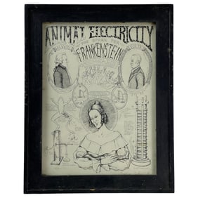 Animal Electricity The Stark For Frankenstein By Frau Sakra