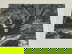 item-209153500=3