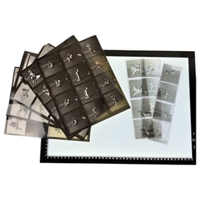 Vintage Adult Gay Male Interest Movie Sceen Shoot Film Production Contact Sheet Photo and Negative