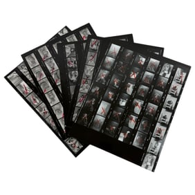Vintage Black and White Photos Nudes Contact Sheets Photos  8" x 10"