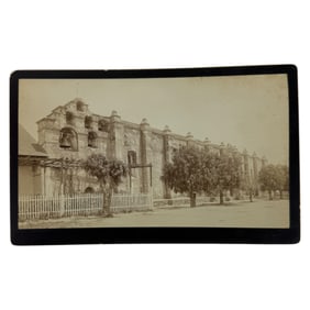 Antique Albumen Photo by L.S. Ellis – 1880s Los Angeles Cityscape