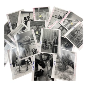 Vintage Nude Polaroid Erotica Burlesque Photo 8 in x 10 in