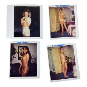 Vintage Nude Polaroid Erotica Burlesque Photo