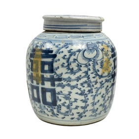 Chinese Blue and White Porcelain Ginger Jar