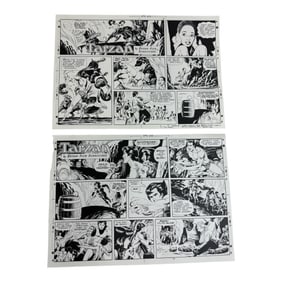 Vintage Story Board Tarzan