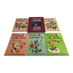 Vintage Disney Book Lot