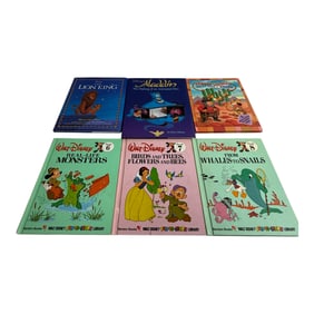 Vintage Disney Book Lot