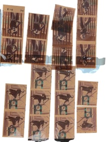 Vintage Fashion Modeling Contact Sheet Photo Negatives