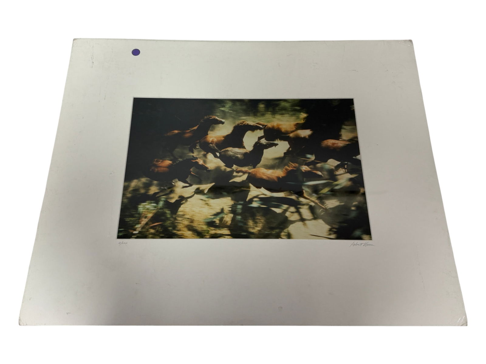 Vintage Limited Edition Robert Vavra Lithograph Of Running Horses 006/300 (1 of 6)