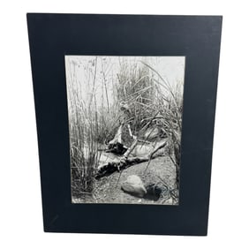 George Forss Photograph - Marsh Scene