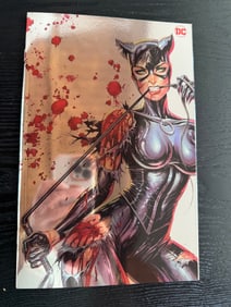 Catwoman Variant Cover (DC)