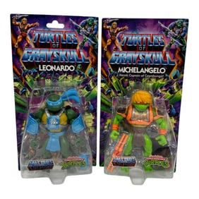 TMNT Toys Turtles of Grayskull Leonardo & Michelangelo