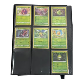 Pokemon Trading Card Binder - Silver Tempest