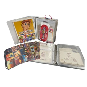 Disney Animation and Collectible Albums