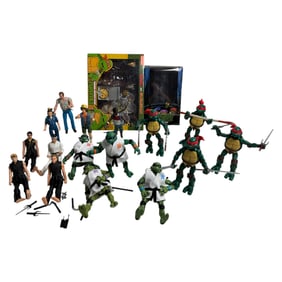 Teenage Mutant Ninja Turtles Action Figure Collection