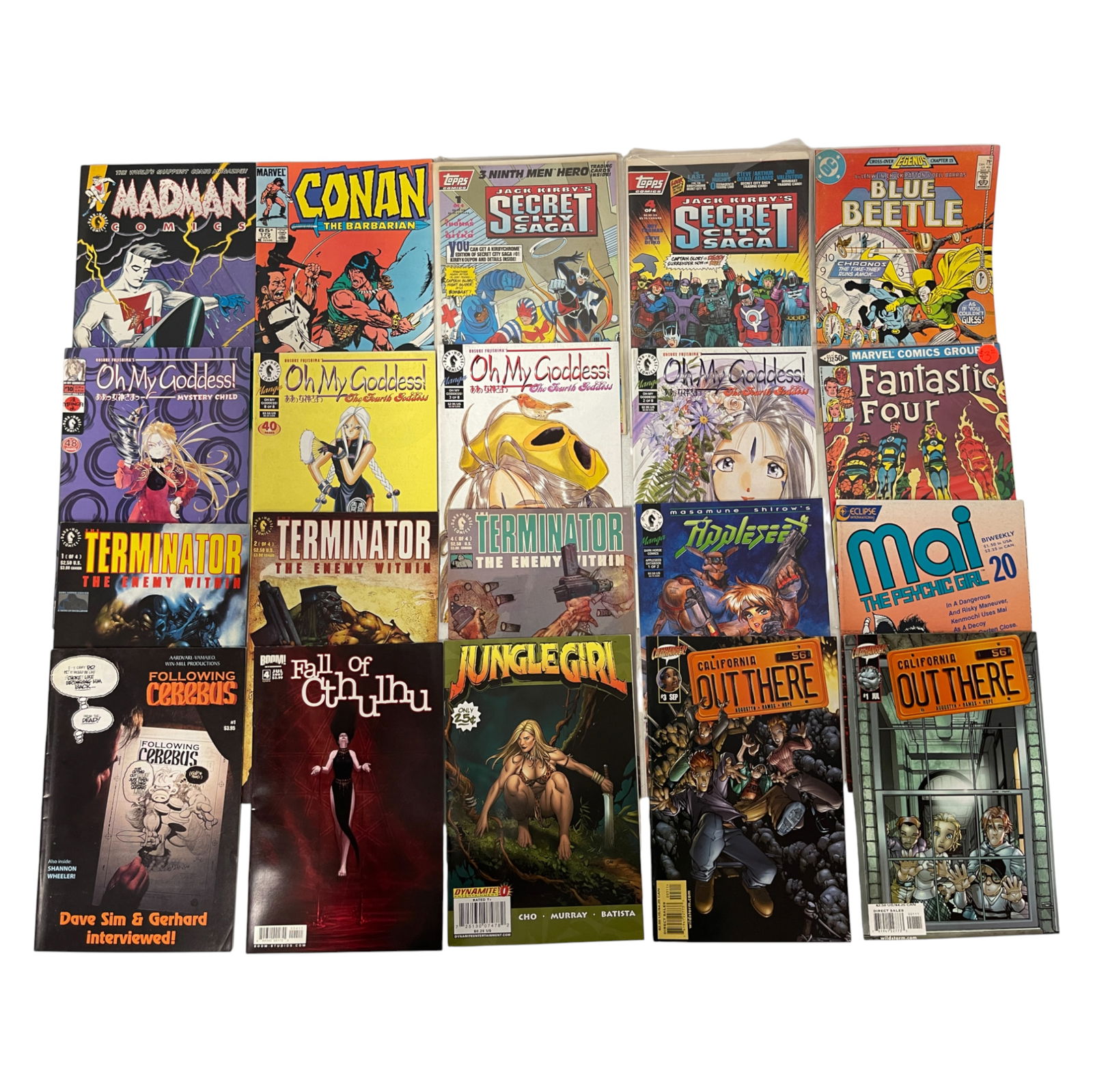 Comic Book Lot Featuring Madman, Terminator & Fall of Cthulhu (1 of 3)