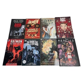 DC and Vertigo Graphic Novels Collection