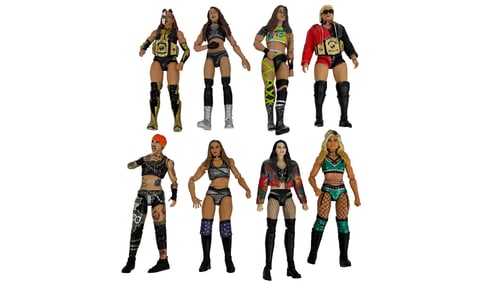 Lot of 8 WWE Women’s Wrestling Action Figures