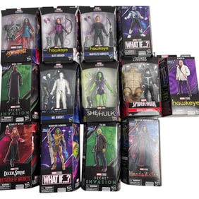 Marvel Legends Heroes & Villains Figures