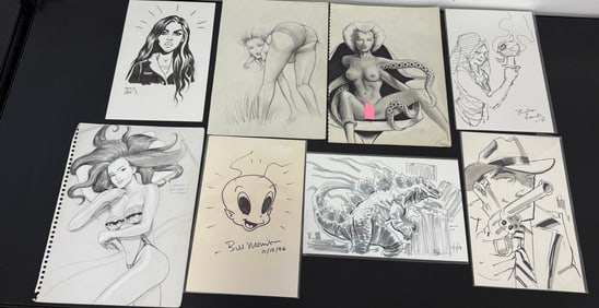 Collection of Pin-Up & Comic Sketches