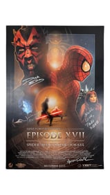 Spider-Man vs Darth Maul Crossover Poster Signed