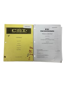 Lot of 2 CSI Crime Scene Investigation Original Scripts
