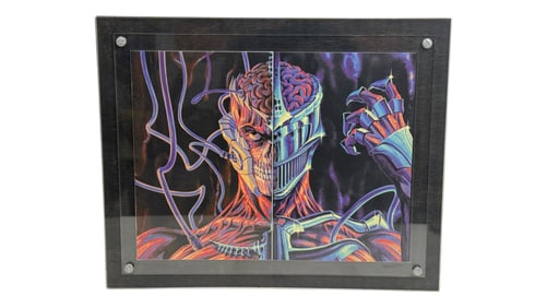 Framed Virgin Cover Comic Books