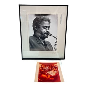 Framed Jazz Saxophonist Photograph by Lloyd Richter