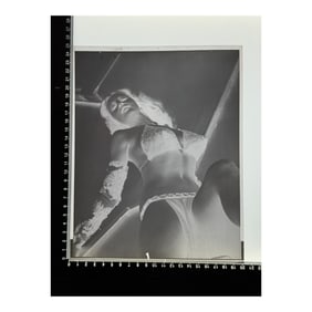 Vintage Lingerie Pin Up Nude Photo Negative
