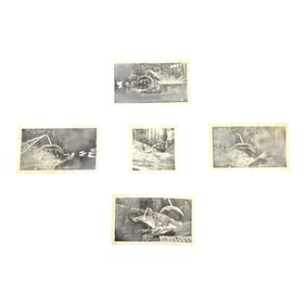 Black and White Art Photography Prints
