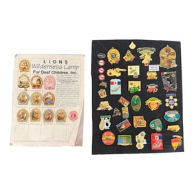 Vintage Pin Collection Lot