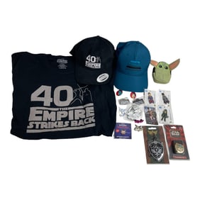 Star Wars and Pop Culture Collectibles Lot