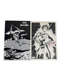 Comic Book Original Artwork - Black Web & Female Warrior