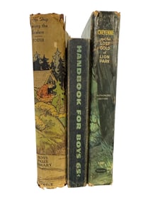 Adventure & Boys’ Reading Lot  Handbook for Boys, Cheyenne, Frozen Ship