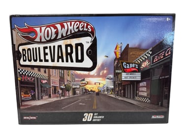 Hot Wheels Real Riders Boulevard Sealed Pack