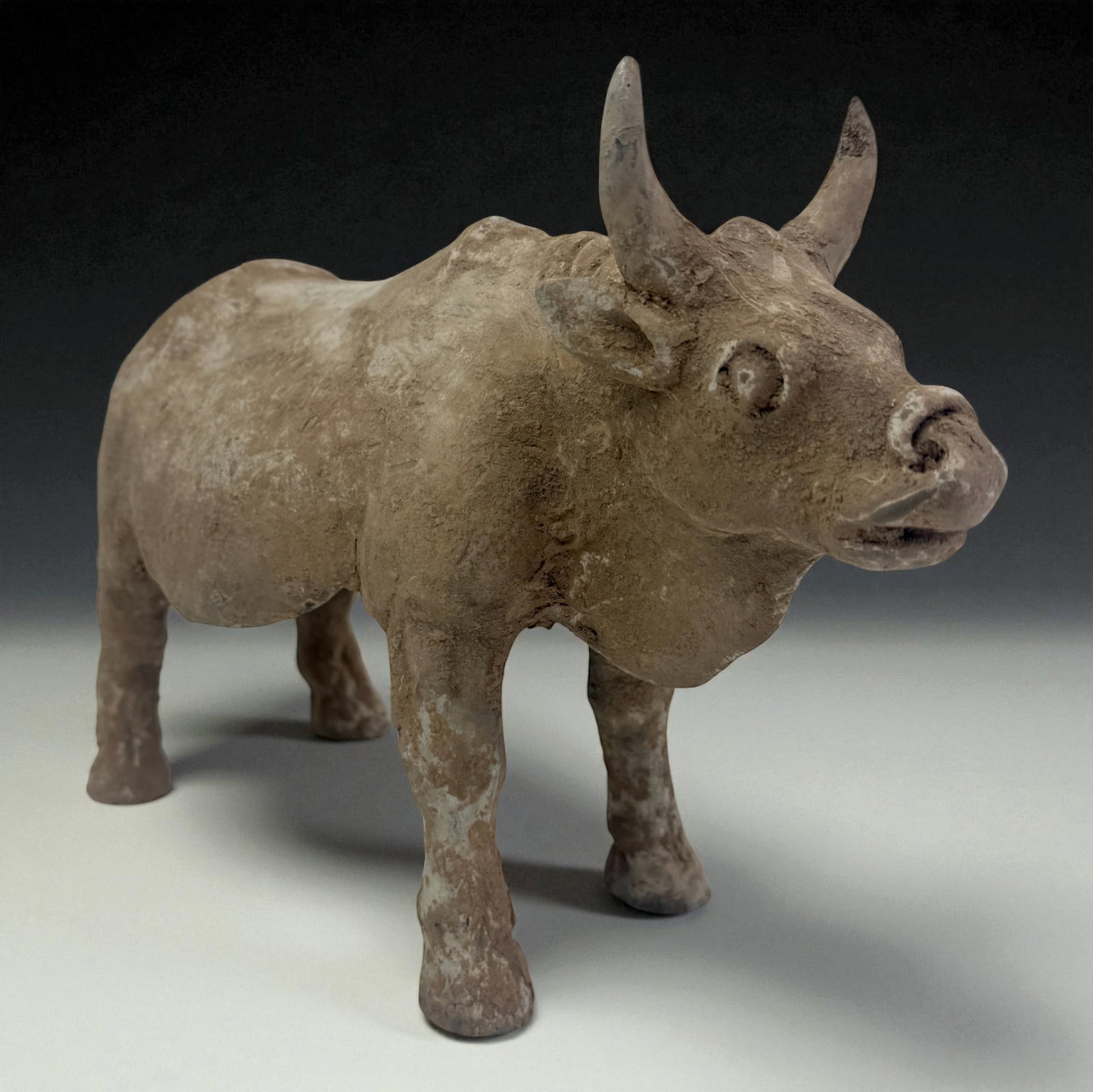 Pre-Columbian Ceramic Bull Figure: Terracotta bull figure with forward-leaning stance, modeled horns, and weathered surface texture. Mineral deposits and earthen patina highlight exceptional age and authenticity. A rare zoomorphic scul