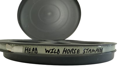 Wild Horse Stampede Movie Reel, Alan James