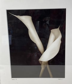 Black and White Photo Calla lilies Signed