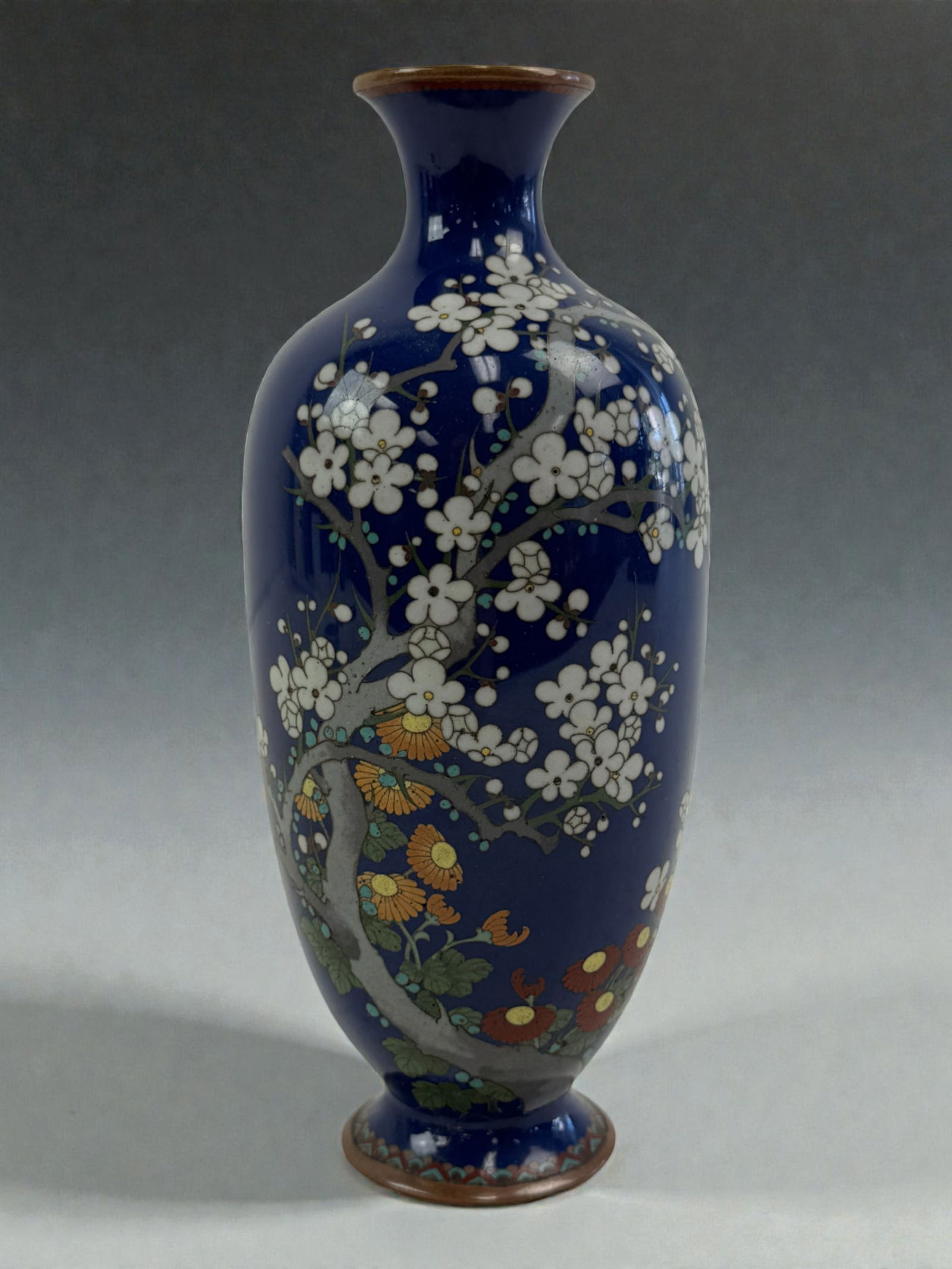 Japanese Cloisonne Enamel Vase ? Floral on Midnight Blue Ground: Elegant Japanese cloisonne vase decorated with white plum blossoms, chrysanthemums, and green foliage against a rich midnight-blue enamel ground. Fine wirework and vivid colors throughout. Meji Period